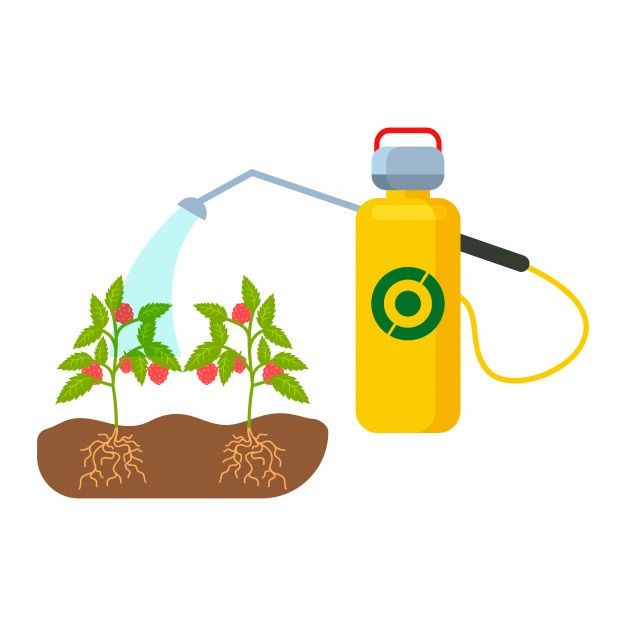 plant-mix مبيدات حشرية وفطرية
