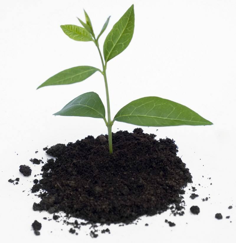 plant-mix أسمدة عضوية وكيميائية