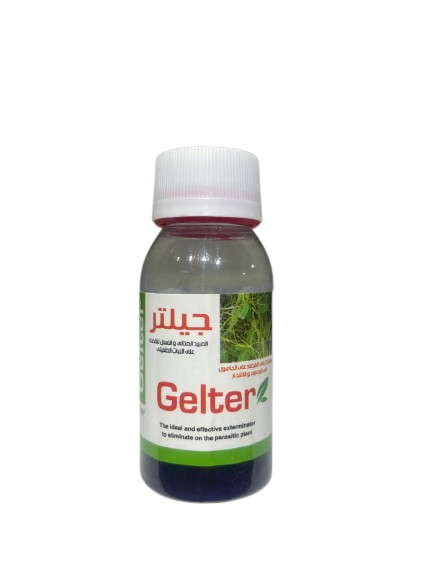 جليتر